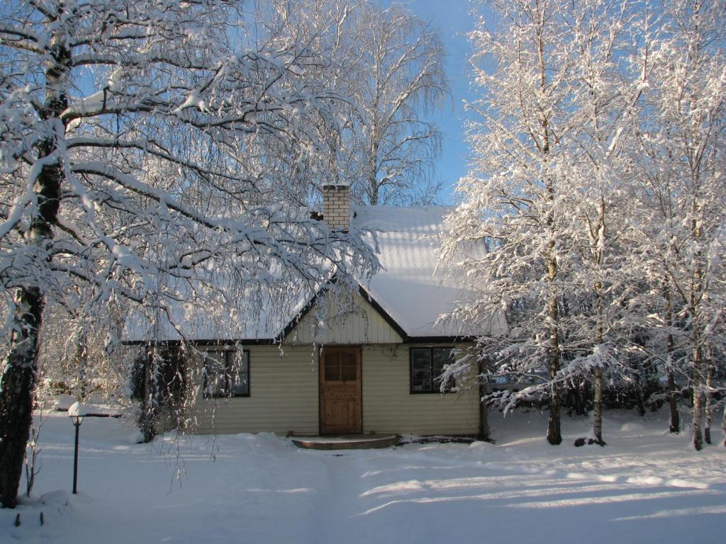 Tonise Holiday Houses Lilbi  Exteriör bild
